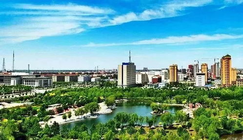 衡水四縣市區成功摘帽，營口天禹網絡助力數字扶貧新篇章